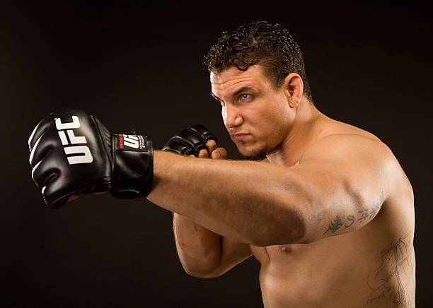 Frank Mir