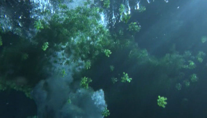 Last Life in the Universe (2002)