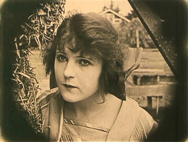 The Hayseed