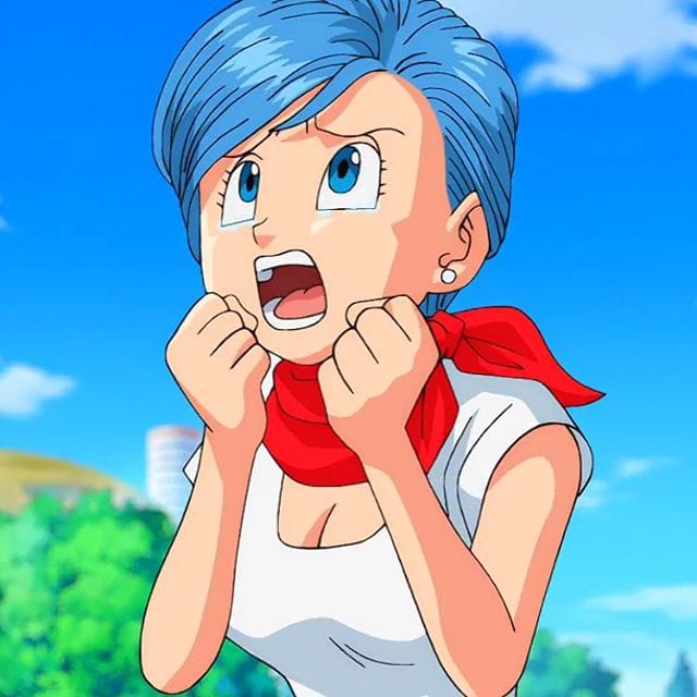 Bulma