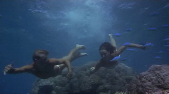 The Blue Lagoon The Blue Lagoon