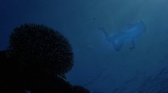 The Blue Lagoon