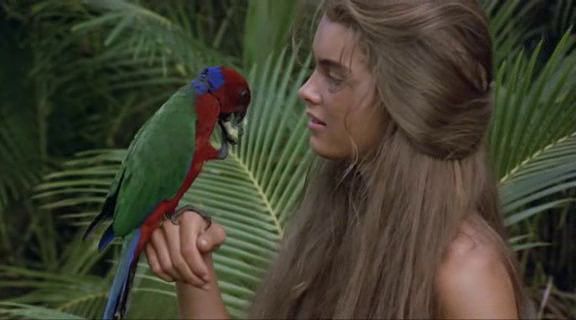 The Blue Lagoon The Blue Lagoon