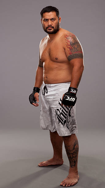 Mark Hunt