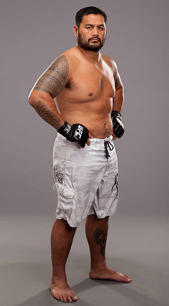 Mark Hunt