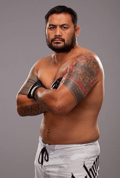 Mark Hunt