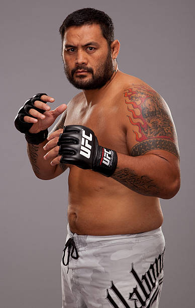 Mark Hunt