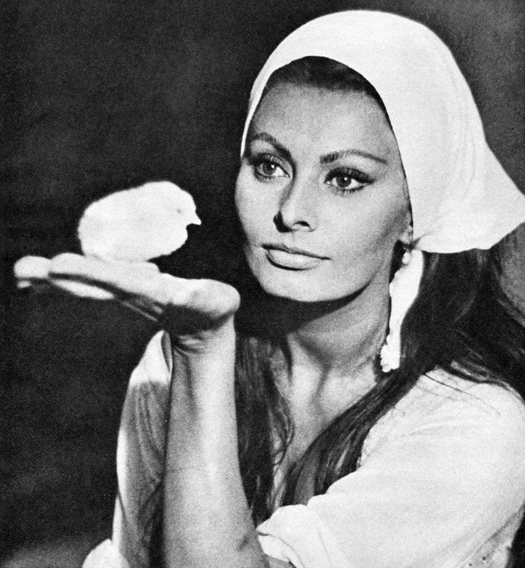 Sophia Loren Sophia Loren