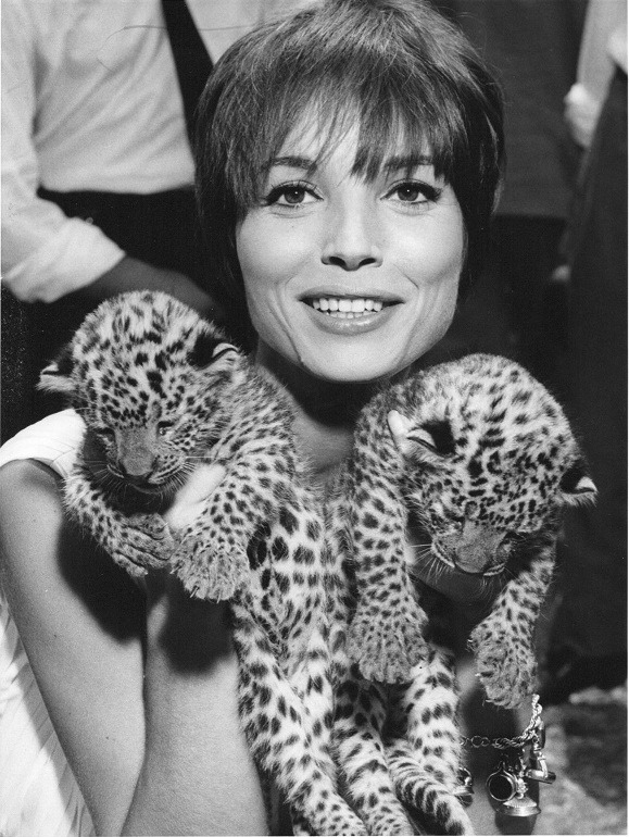 Elsa Martinelli Elsa Martinelli
