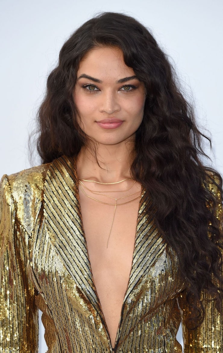 Shanina Shaik