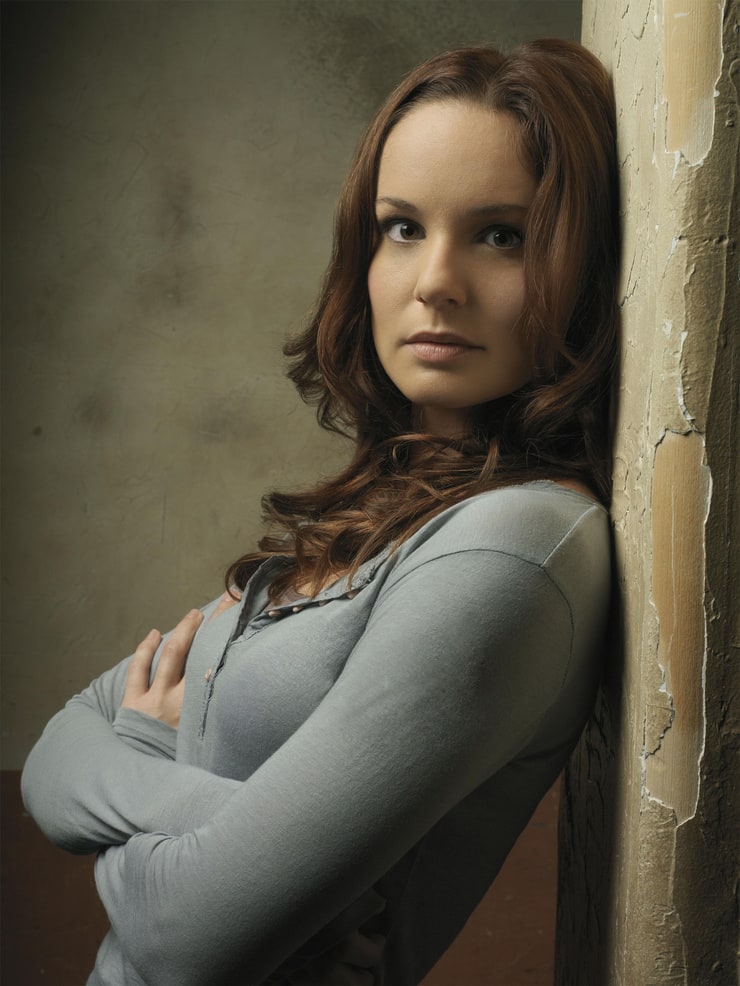 Image Of Sarah Wayne Callies