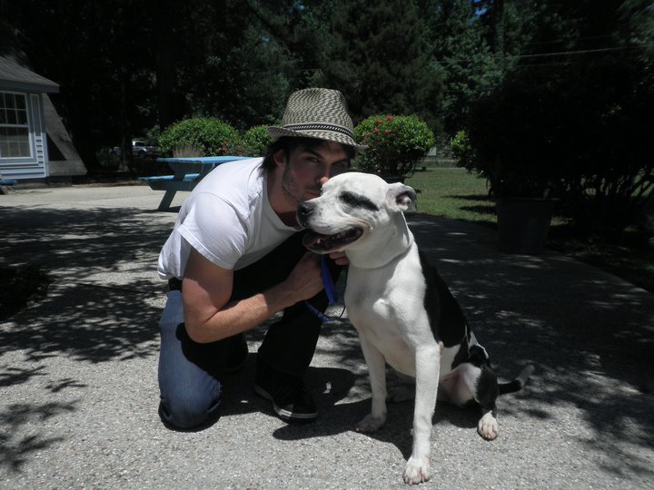 Ian Somerhalder