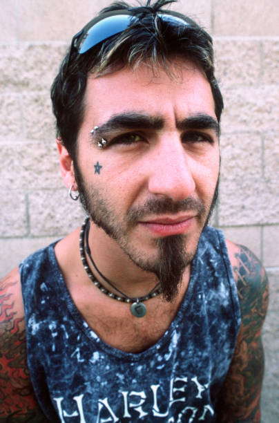 Sully Erna