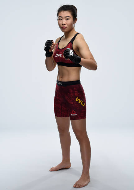 Yanan Wu