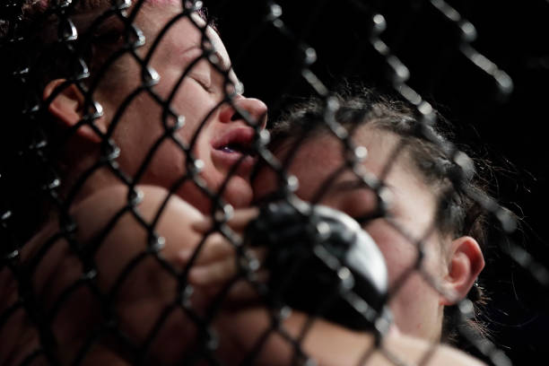UFC Fight Night: Bisping vs. Gastelum                                  (2017)