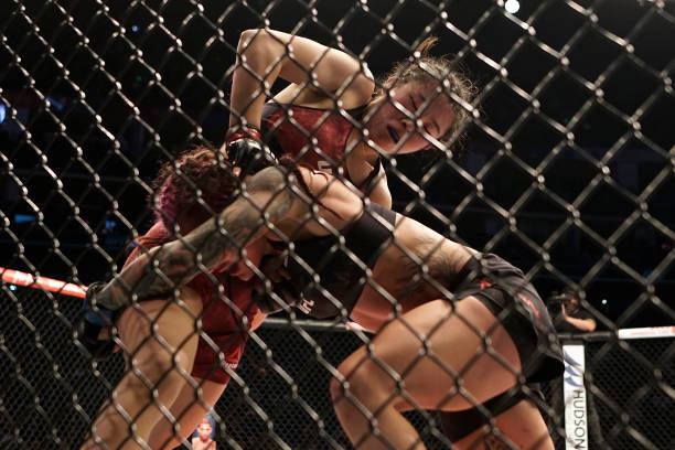 UFC Fight Night: Bisping vs. Gastelum                                  (2017)