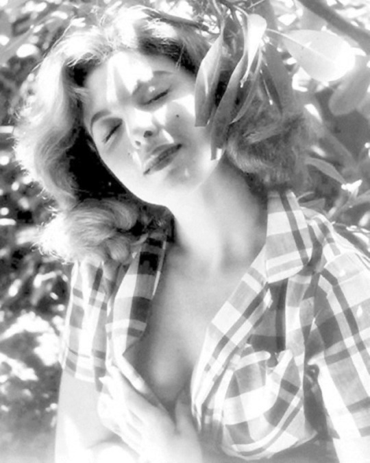 Tina Louise Tina Louise