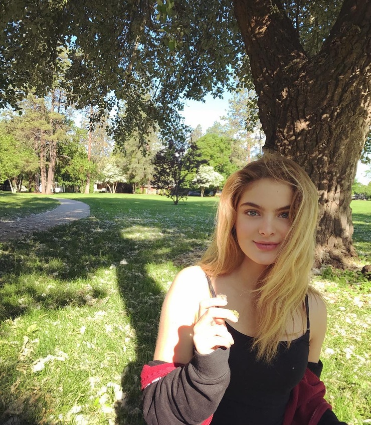 Brighton Sharbino