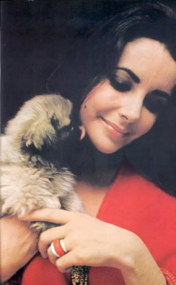 Elizabeth Taylor Elizabeth Taylor