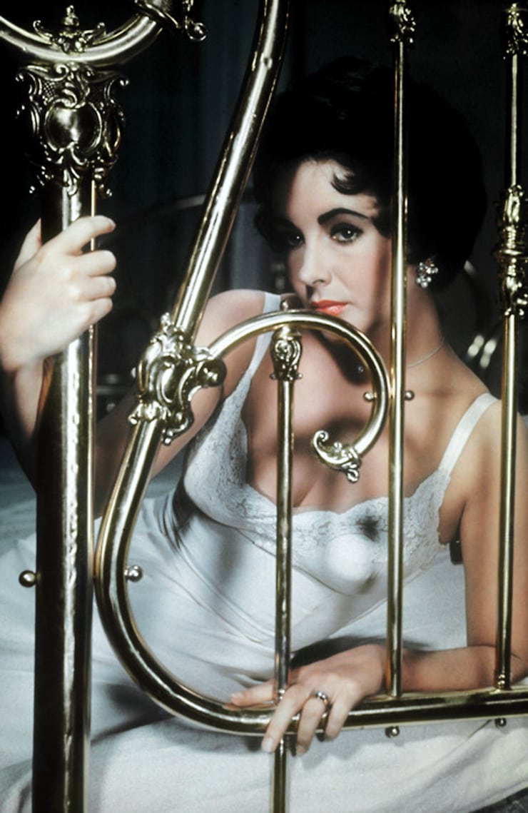 Elizabeth Taylor Elizabeth Taylor