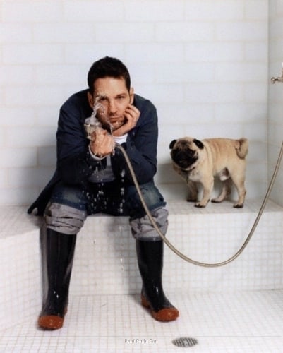 Paul Rudd