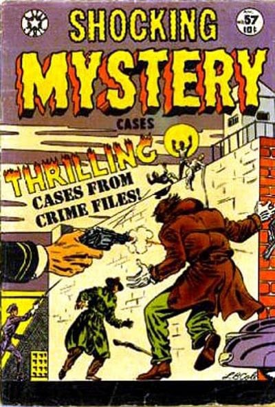 Shocking Mystery Cases