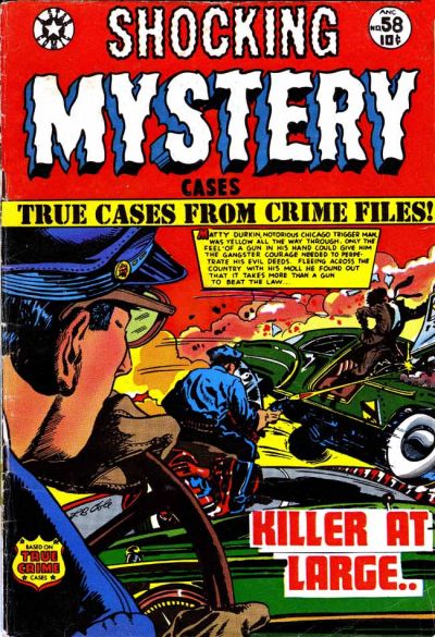 Shocking Mystery Cases