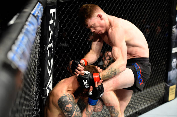 Paul Felder