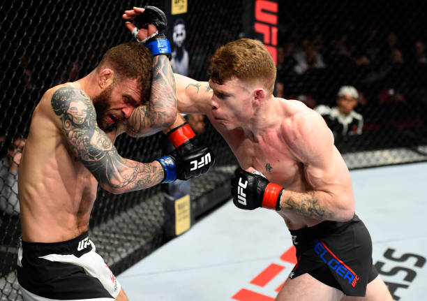 Paul Felder