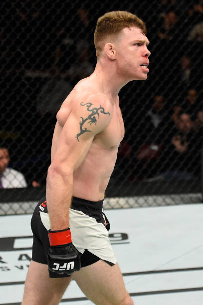 Paul Felder