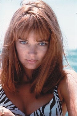 Diane Bond Diane Bond