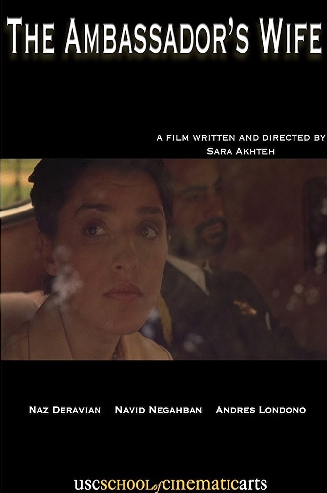 The Ambassador's Wife