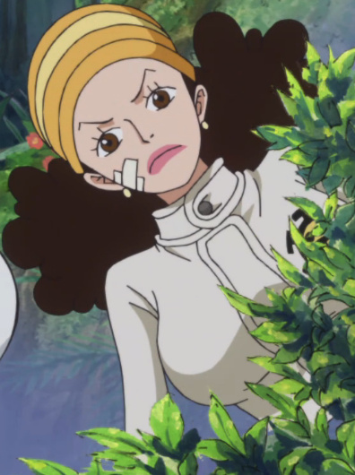 Ikkaku
