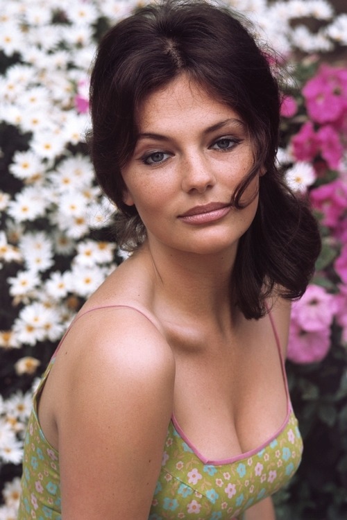 Jacqueline Bisset Jacqueline Bisset
