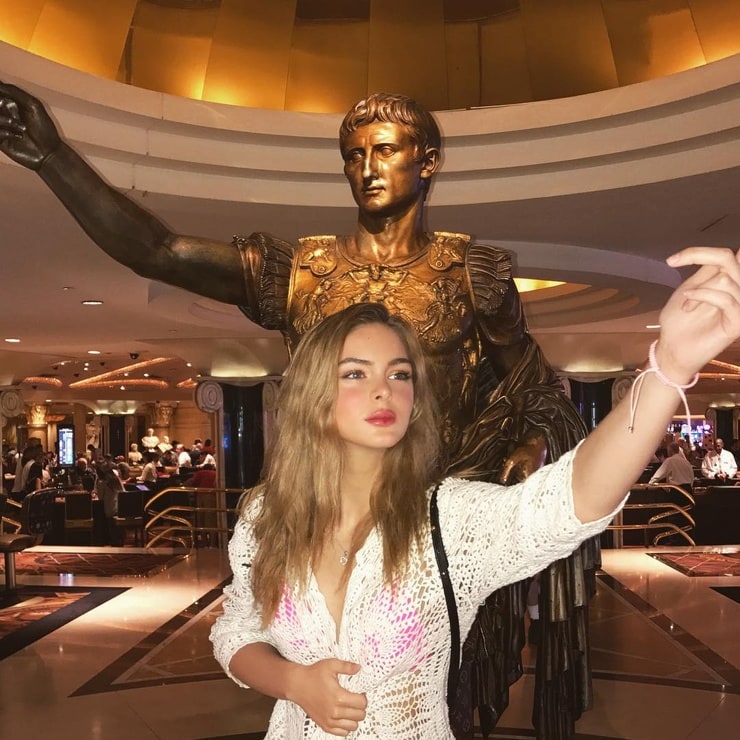 Brighton Sharbino