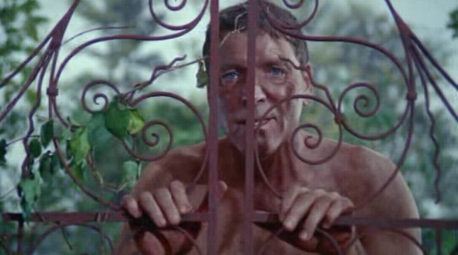 The Swimmer