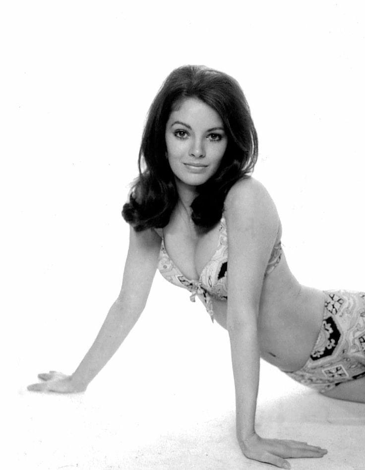 Jaclyn Smith Jaclyn Smith