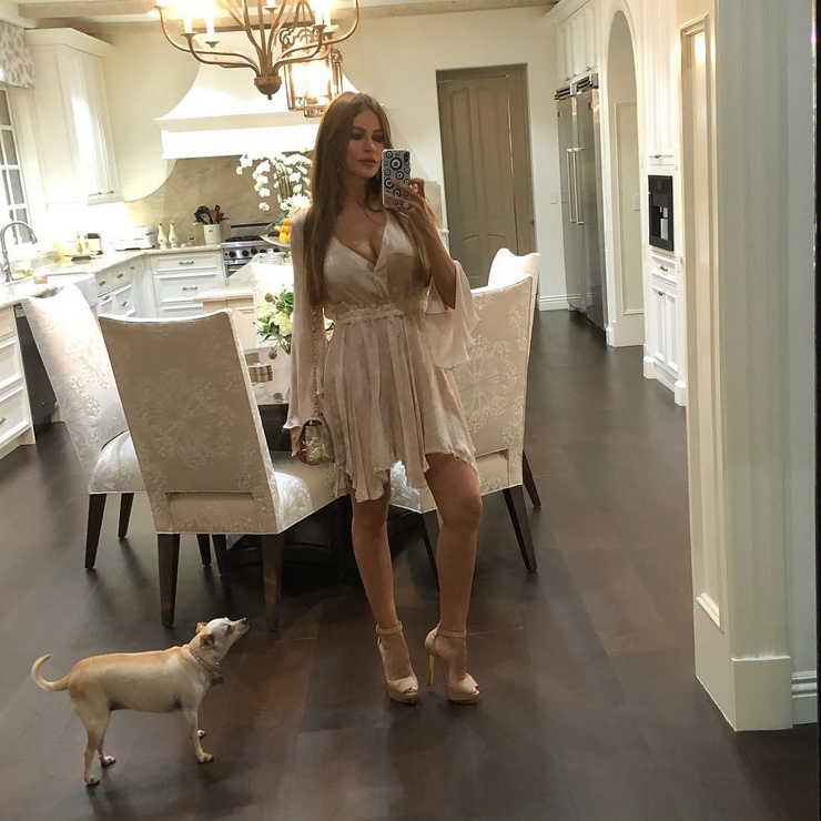 picture  sofia vergara