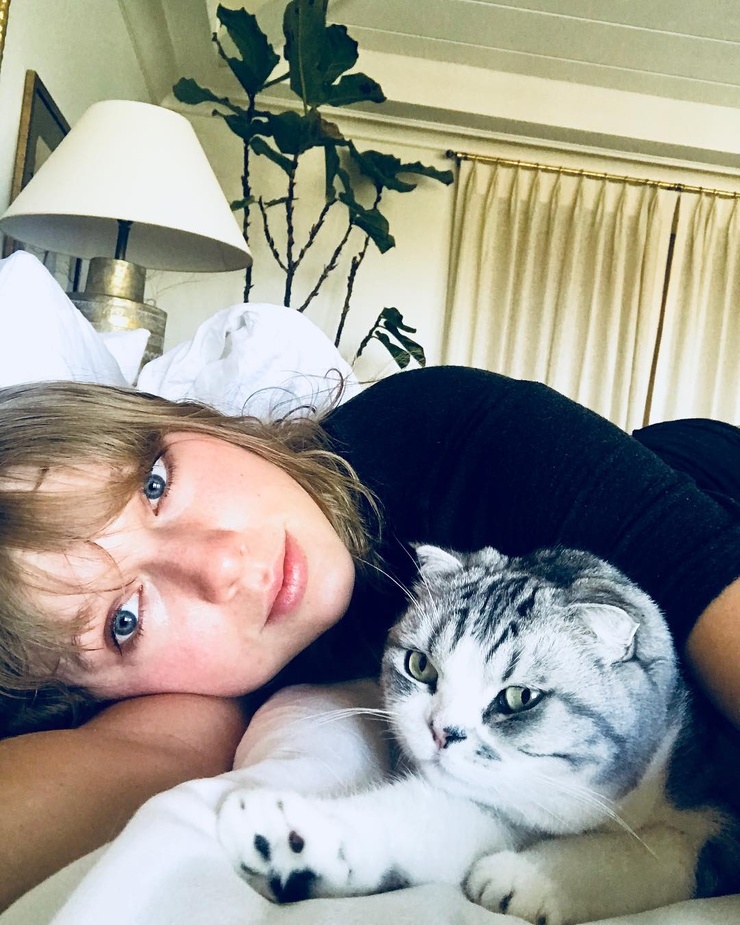 Taylor Swift Taylor Swift
