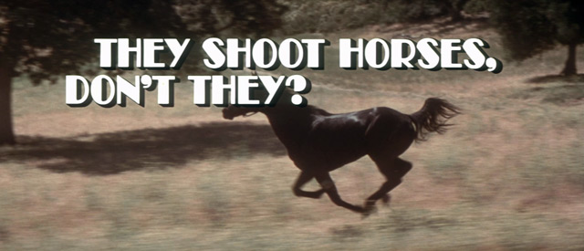 They Shoot Horses, Don't They? They Shoot Horses, Don't They?
