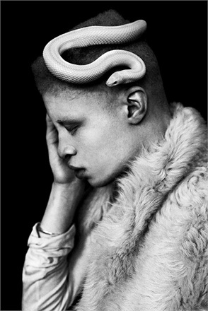 Shaun Ross