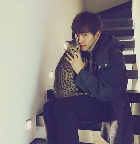 Lee Junho