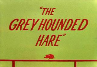 The Grey Hounded Hare