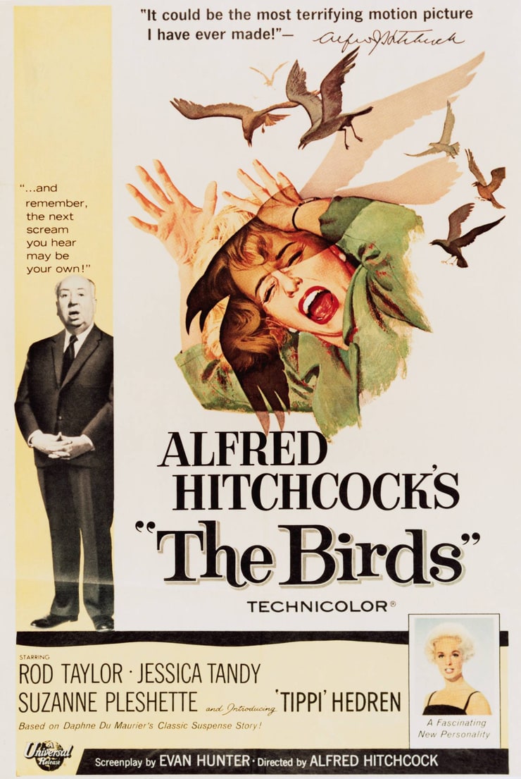 The Birds The Birds