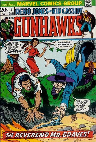 The Gunhawks
