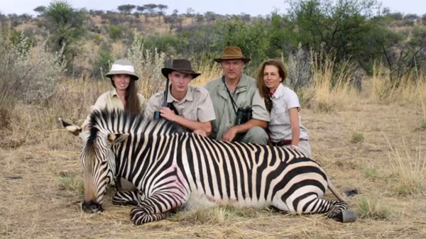 Safari Safari