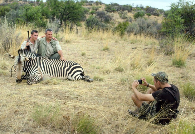 Safari Safari