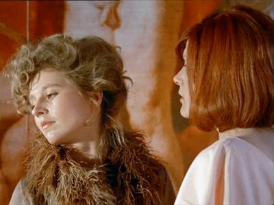 The Bitter Tears of Petra von Kant
