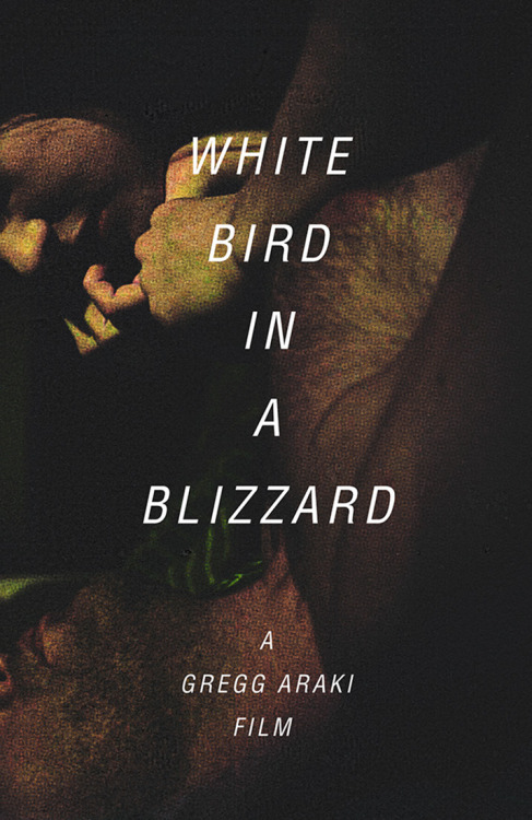 White Bird in a Blizzard
