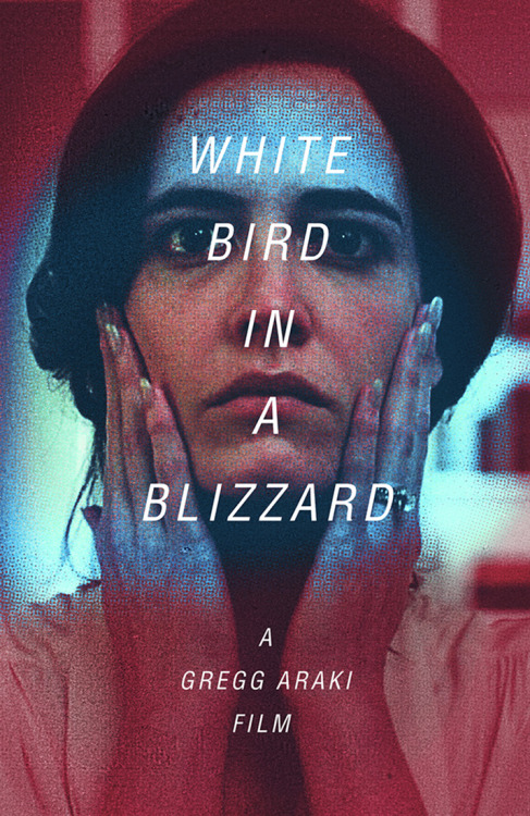 White Bird in a Blizzard